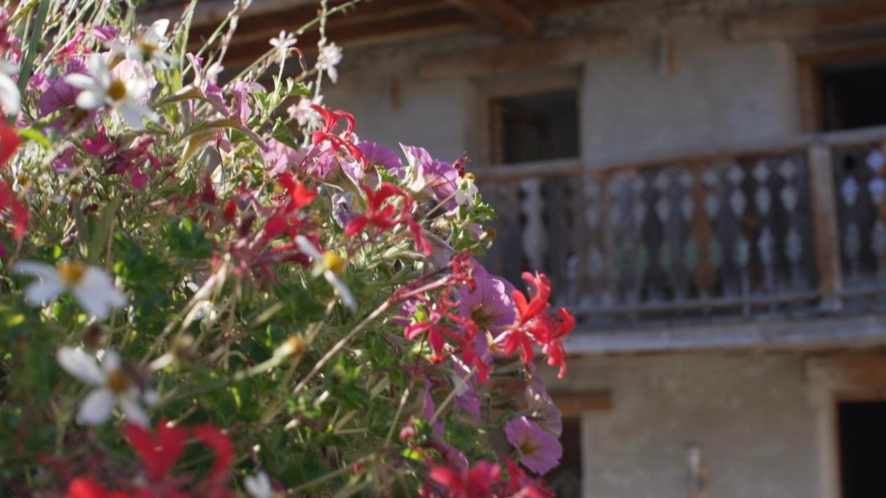 Chalet Violettes Villaroger Exterior foto
